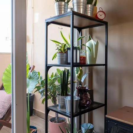 Apartman Vivalavida Center *